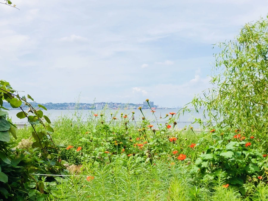 IMG_7918.jpg?type=w966