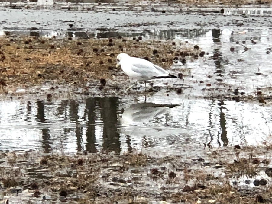 IMG_5708.jpg?type=w966