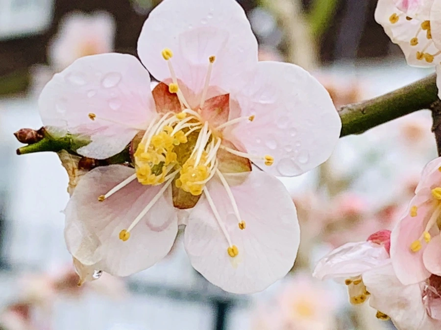 IMG_3933.jpg?type=w966