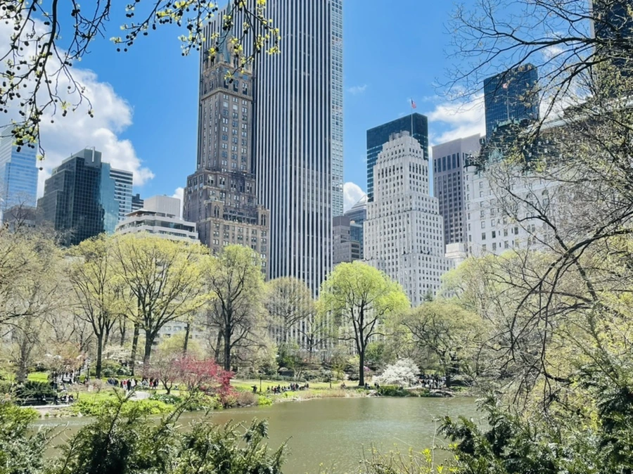 IMG_1113.jpg?type=w966