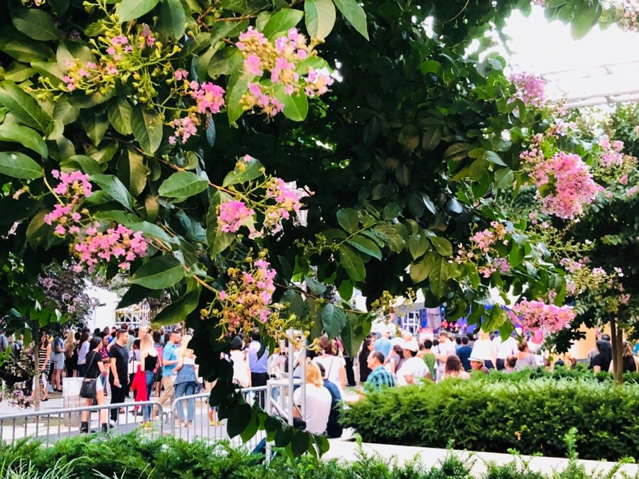 IMG_0050.jpg?type=w966