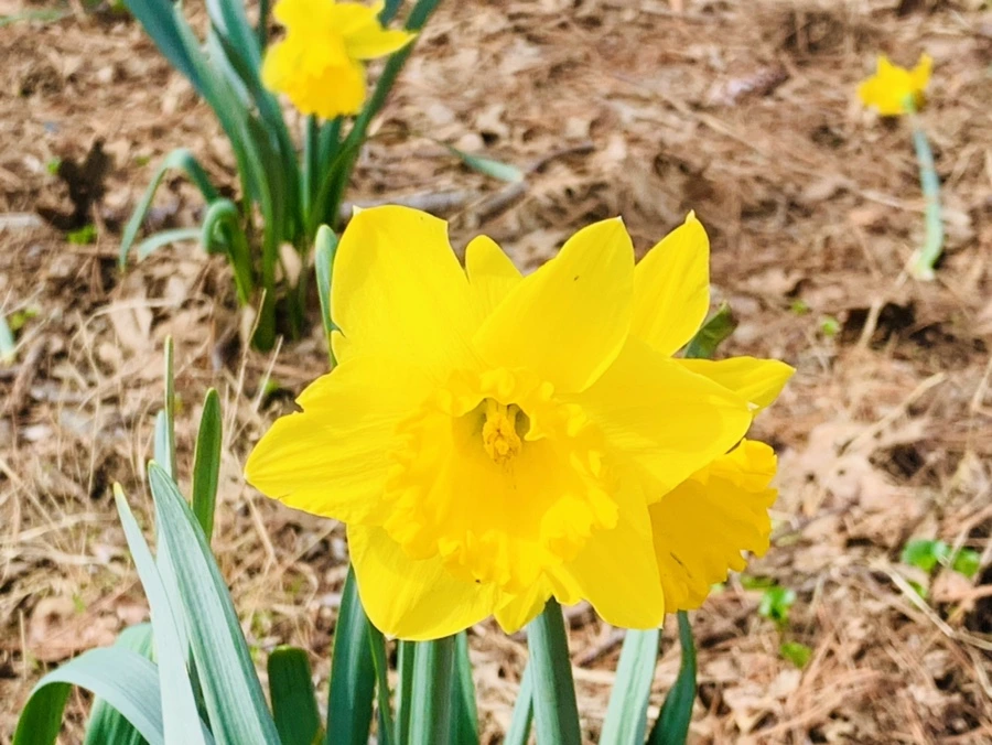 IMG_6361.jpg?type=w966