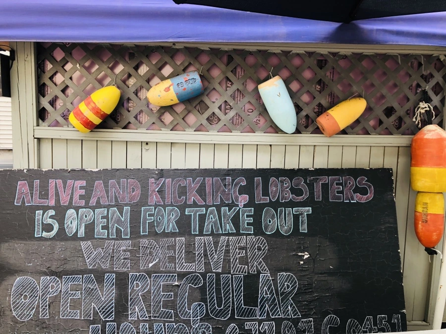 IMG_0982.jpg?type=w966