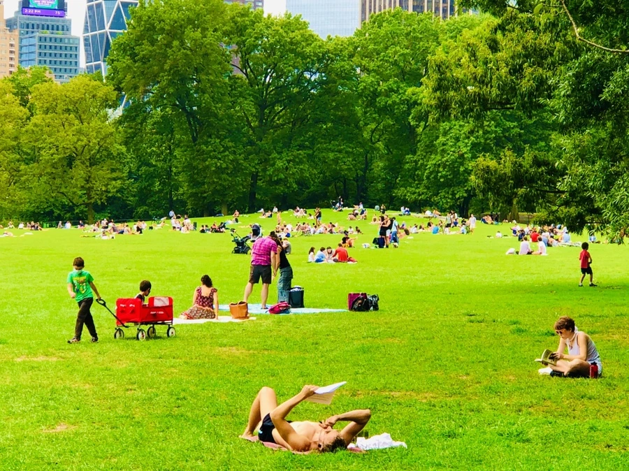 IMG_0082.jpg?type=w966