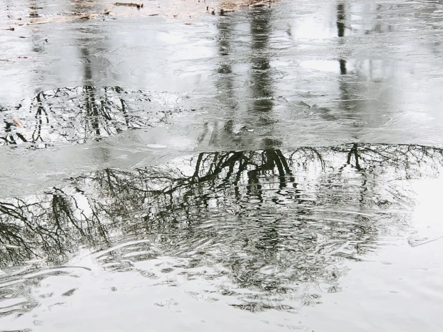 IMG_9048.jpg?type=w966