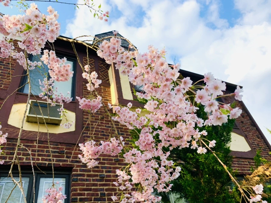 IMG_3781.jpg?type=w966