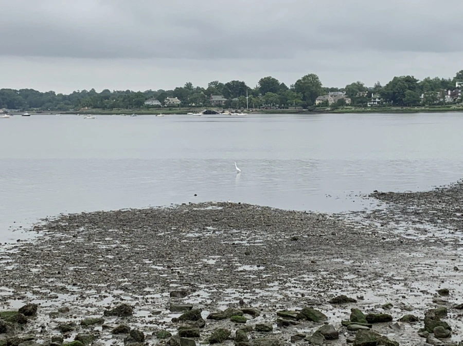 IMG_3699.jpg?type=w966