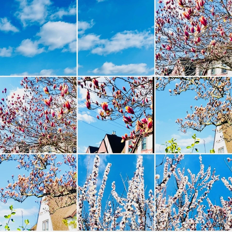 IMG_7679.jpg?type=w966