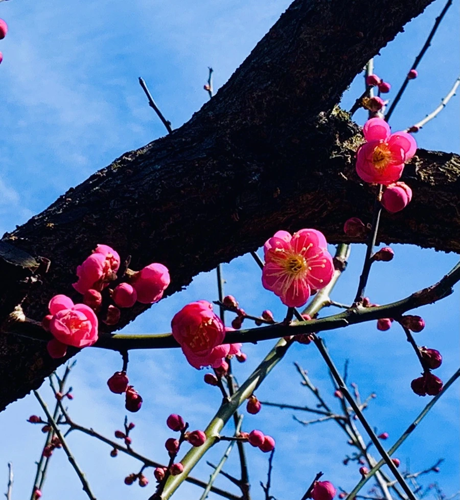 IMG_0566.jpg?type=w966