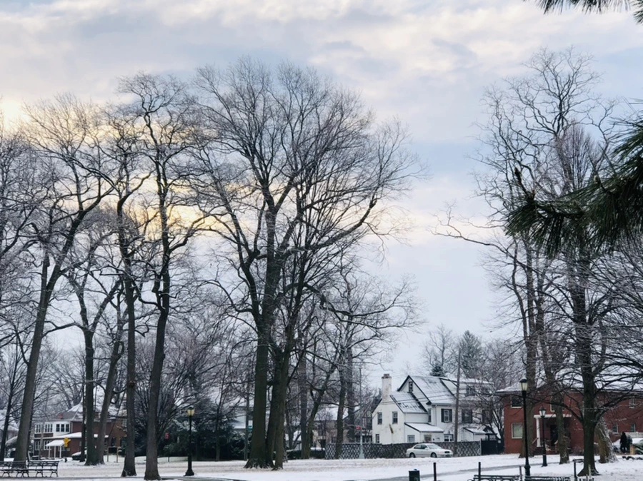 IMG_4543.jpg?type=w966