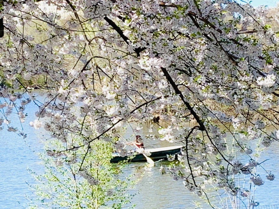 IMG_1940.jpg?type=w966