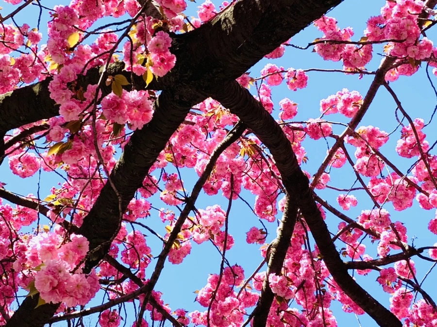 IMG_5821.jpg?type=w966