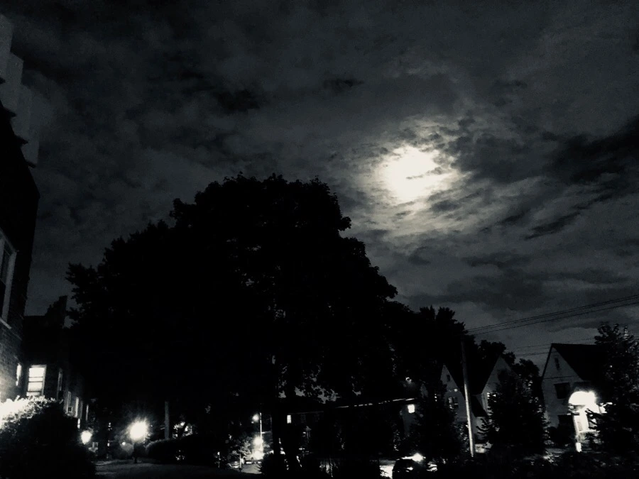 IMG_6128.jpg?type=w966