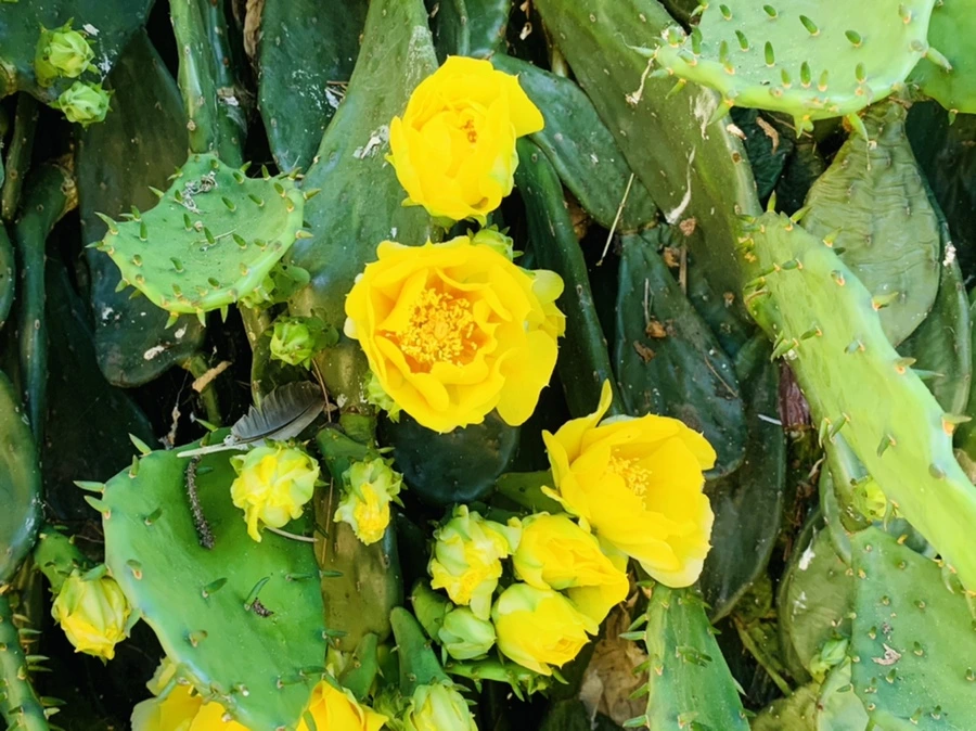 IMG_4330.jpg?type=w966