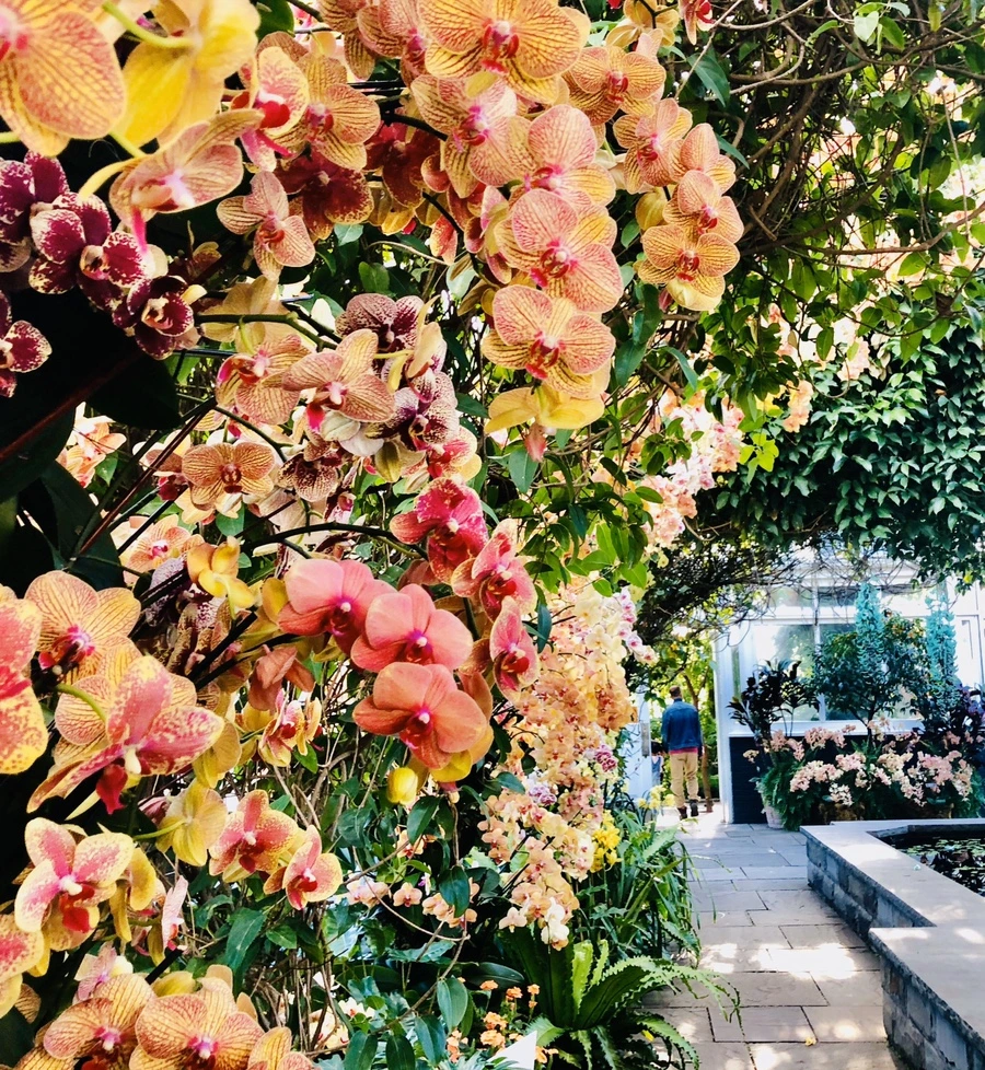 IMG_6293.jpg?type=w966