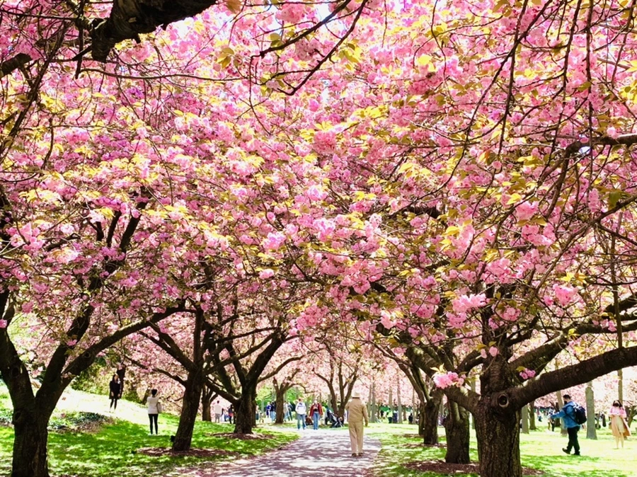 IMG_6426.jpg?type=w966