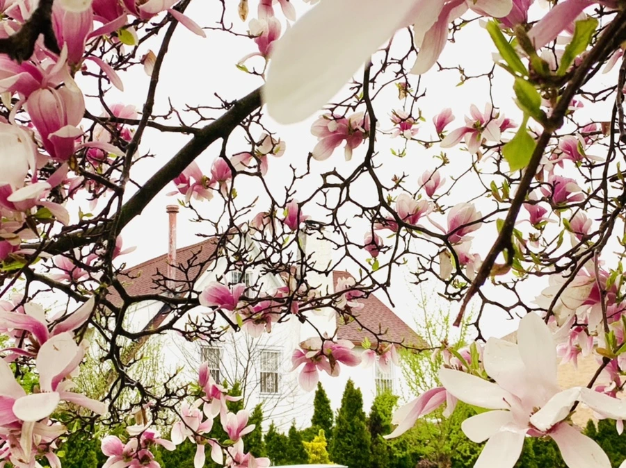 IMG_2376.jpg?type=w966