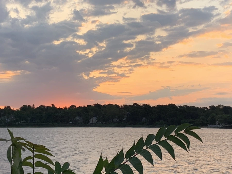 IMG_1684.jpg?type=w966