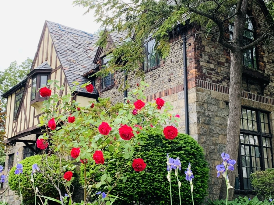 IMG_4808.jpg?type=w966