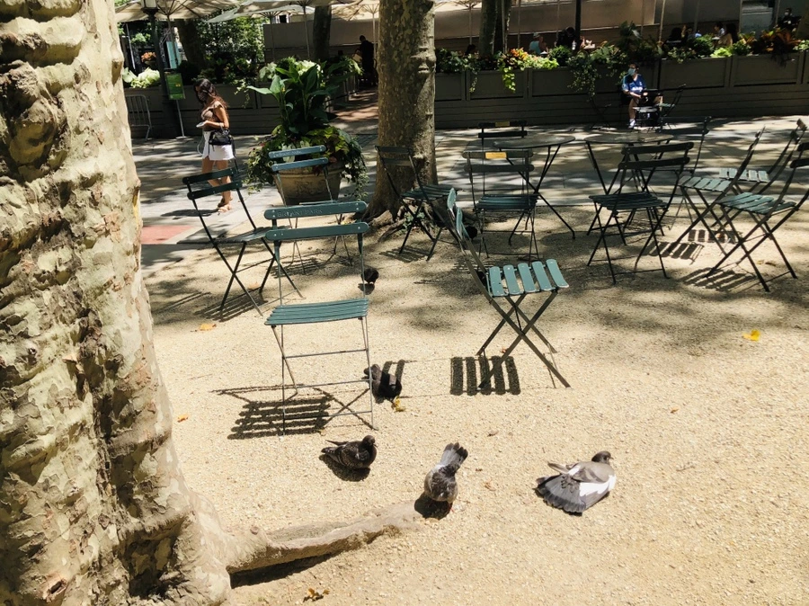 IMG_5286.jpg?type=w966