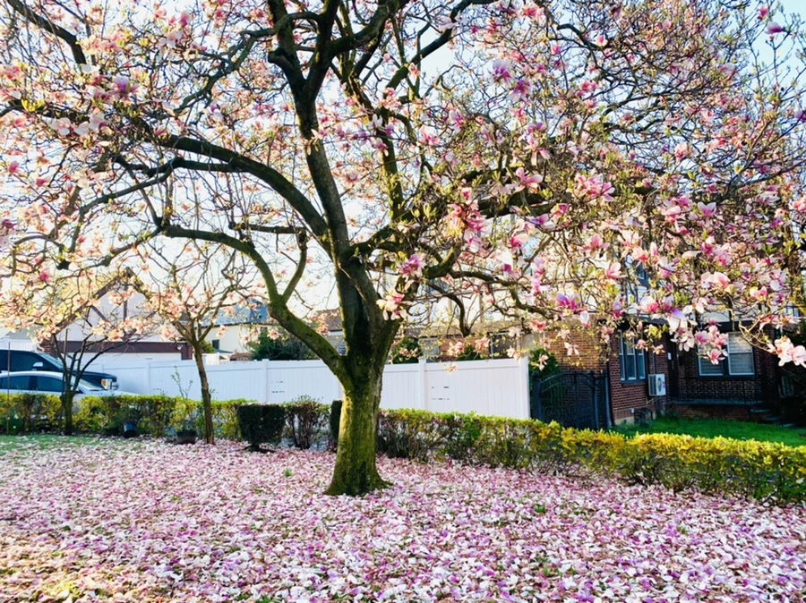 IMG_2429.jpg?type=w966