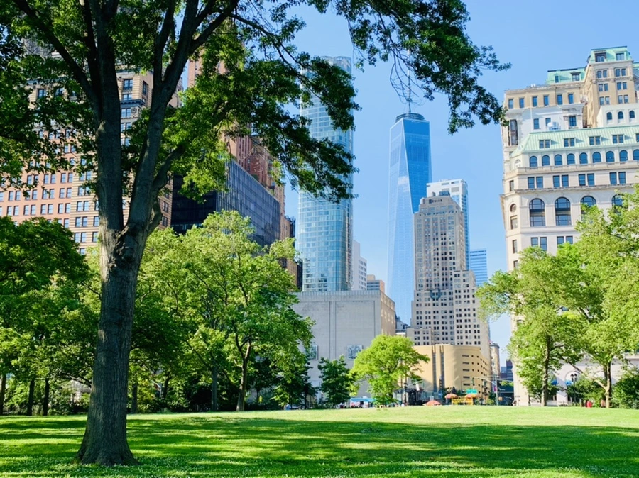 IMG_1161.jpg?type=w966