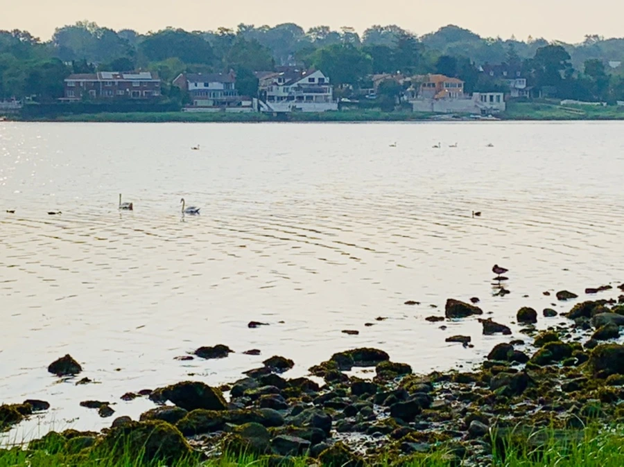 IMG_2260.jpg?type=w966