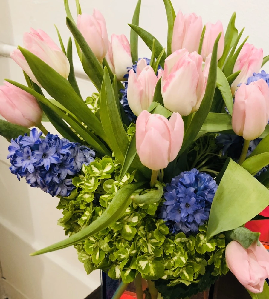 IMG_4627.jpg?type=w966