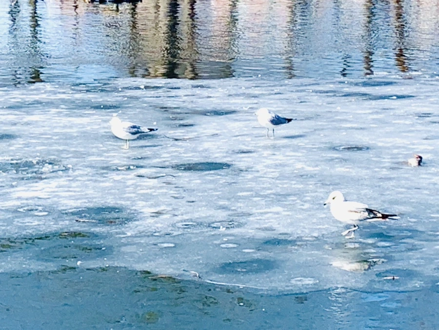 IMG_6983.jpg?type=w966