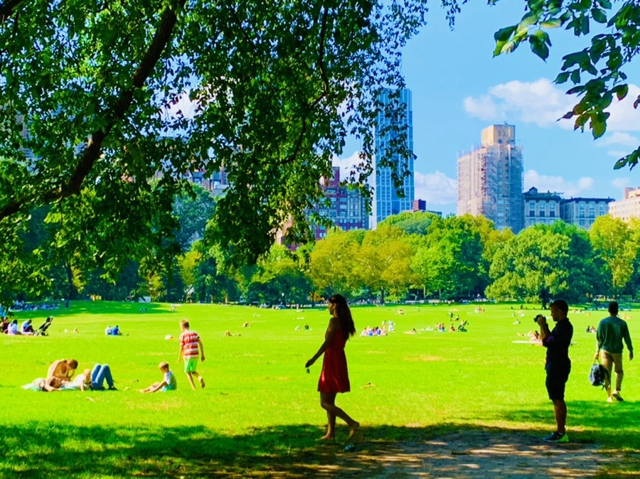 IMG_9659.jpg?type=w966