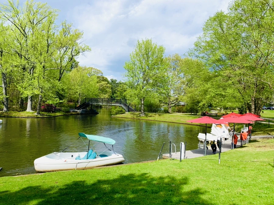 IMG_2489.jpg?type=w966