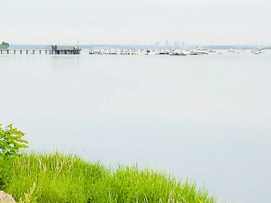 IMG_6444.jpg?type=w966