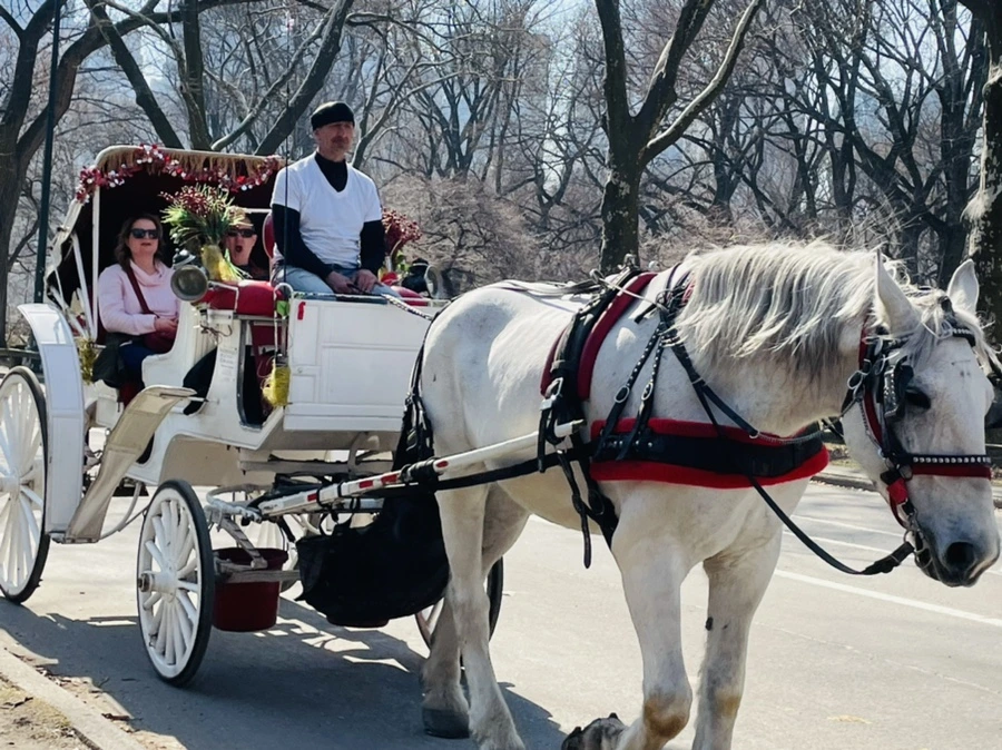 IMG_5517.jpg?type=w966