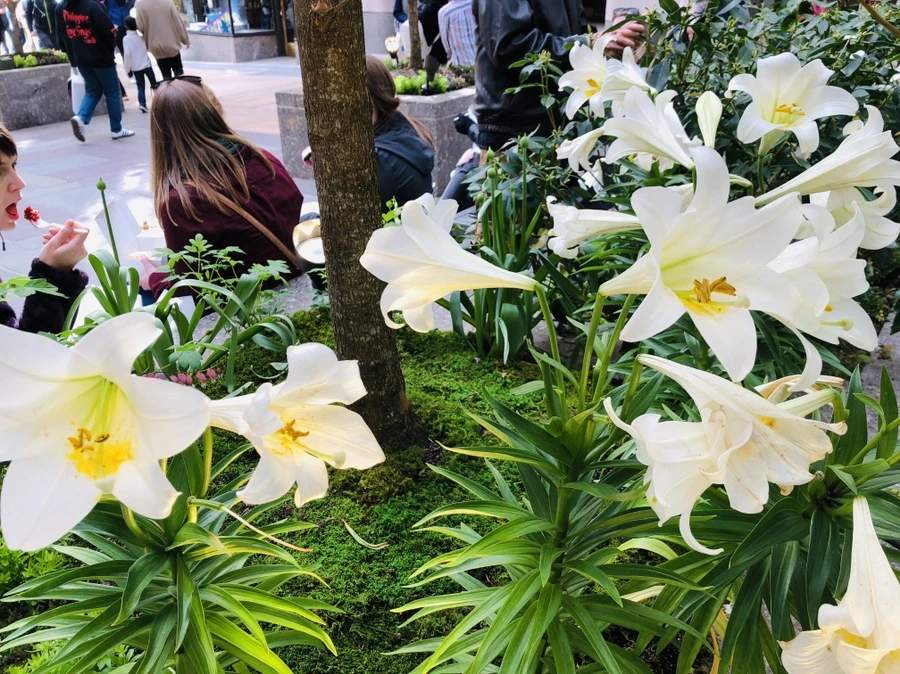 IMG_3848.jpg?type=w966