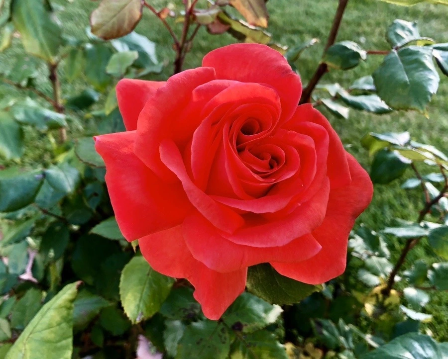 SQtRqirmKADS4nnY_ZRYvf27WvA