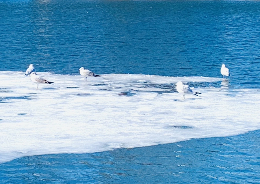 IMG_6722.jpg?type=w966