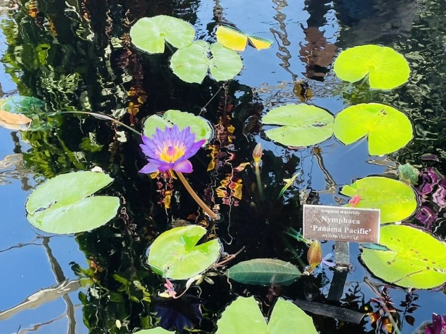 EuiSth4ocWvlbIsU9XMqJ7KKU_I