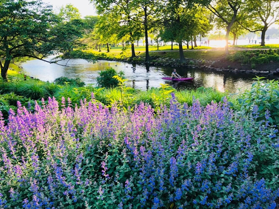 IMG_6799.jpg?type=w966