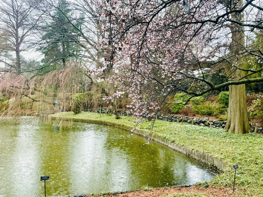 IMG_7332.jpg?type=w966