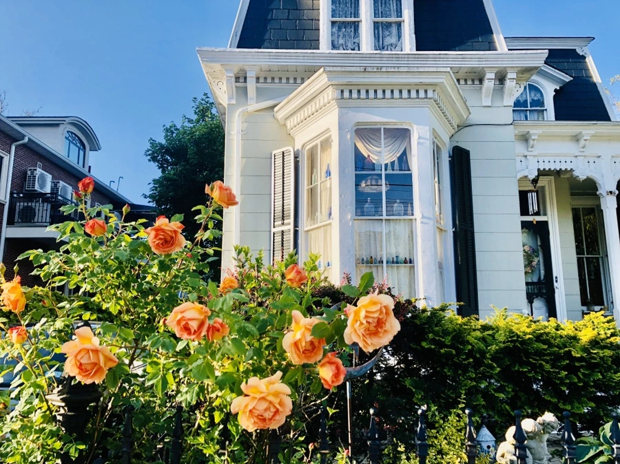 IMG_7403.jpg?type=w966