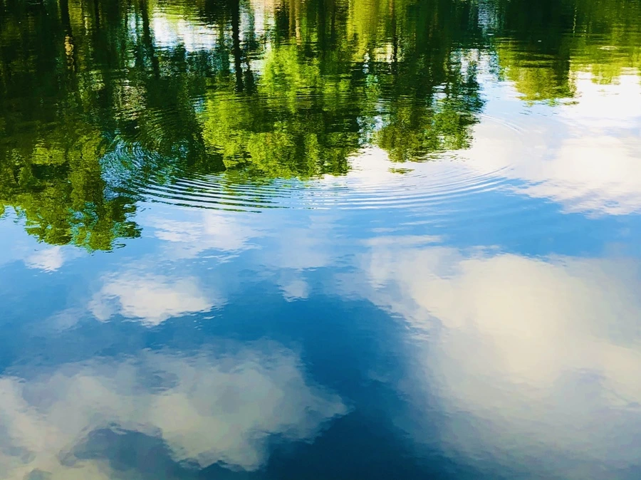 IMG_2942.jpg?type=w966