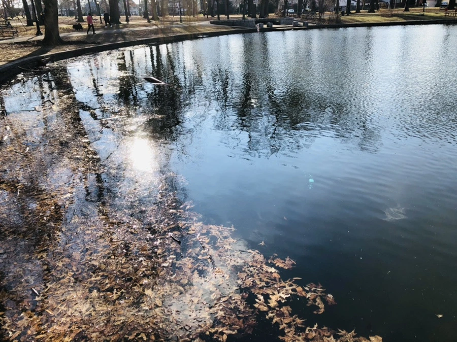 IMG_4113.jpg?type=w966