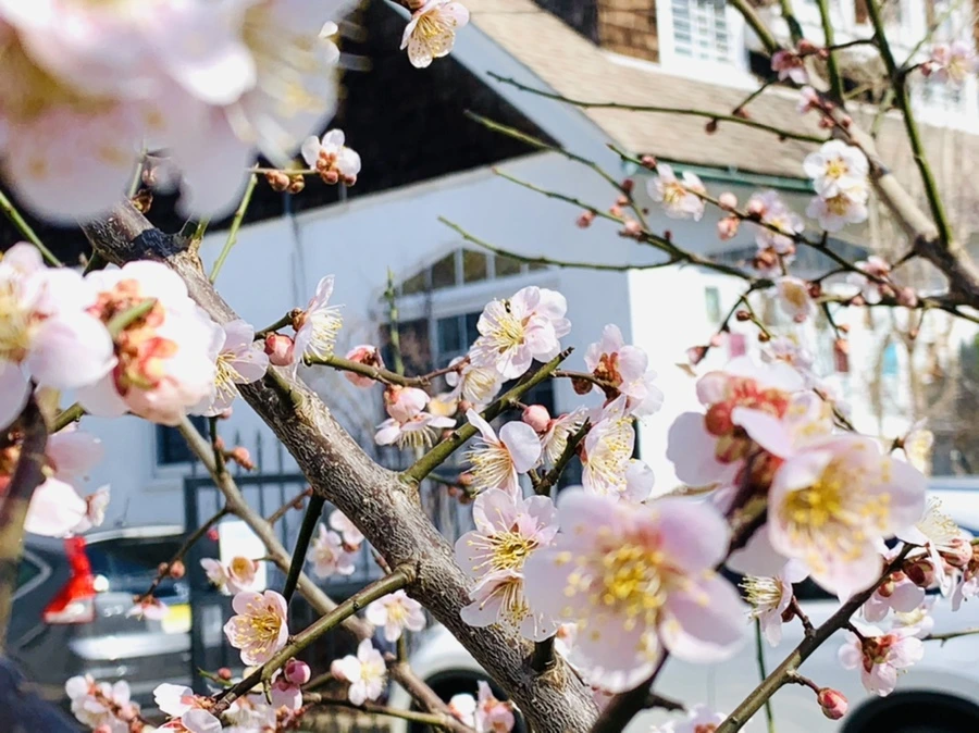 IMG_0975.jpg?type=w966