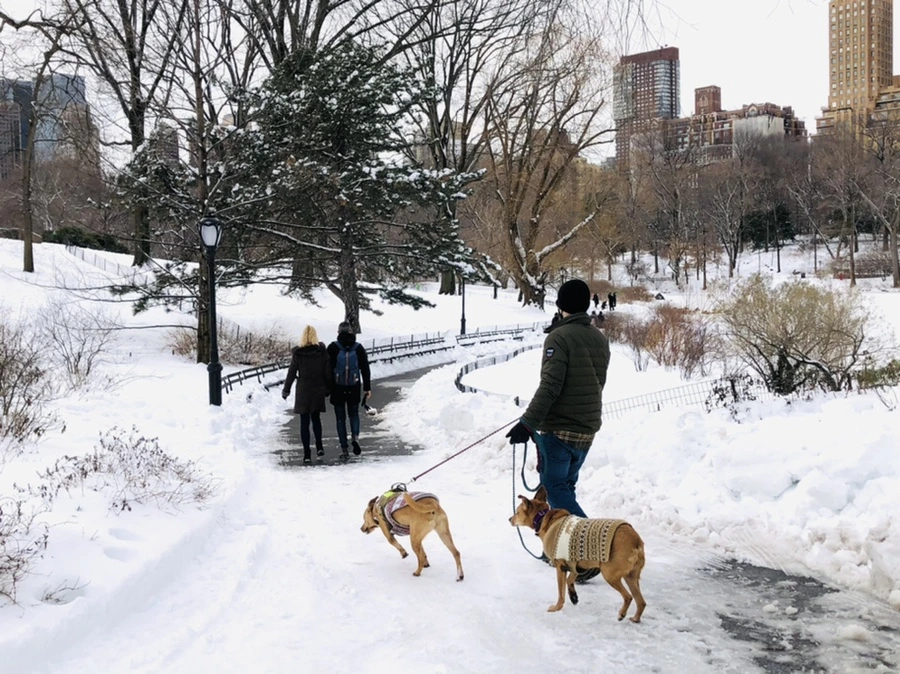 IMG_9455.jpg?type=w966