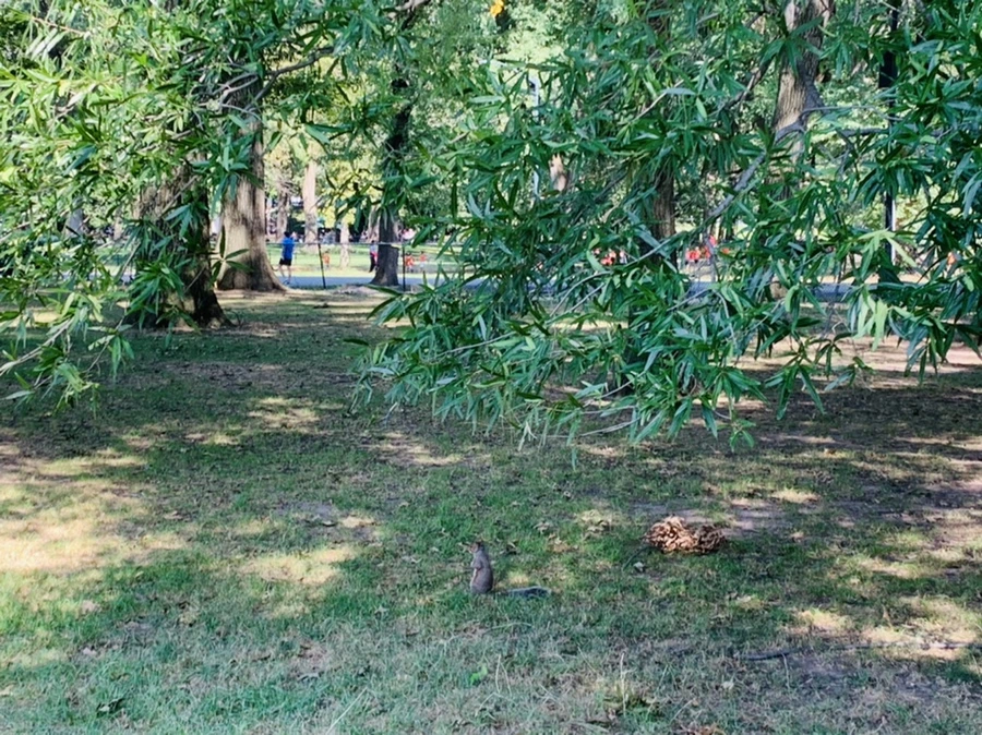 IMG_9672.jpg?type=w966