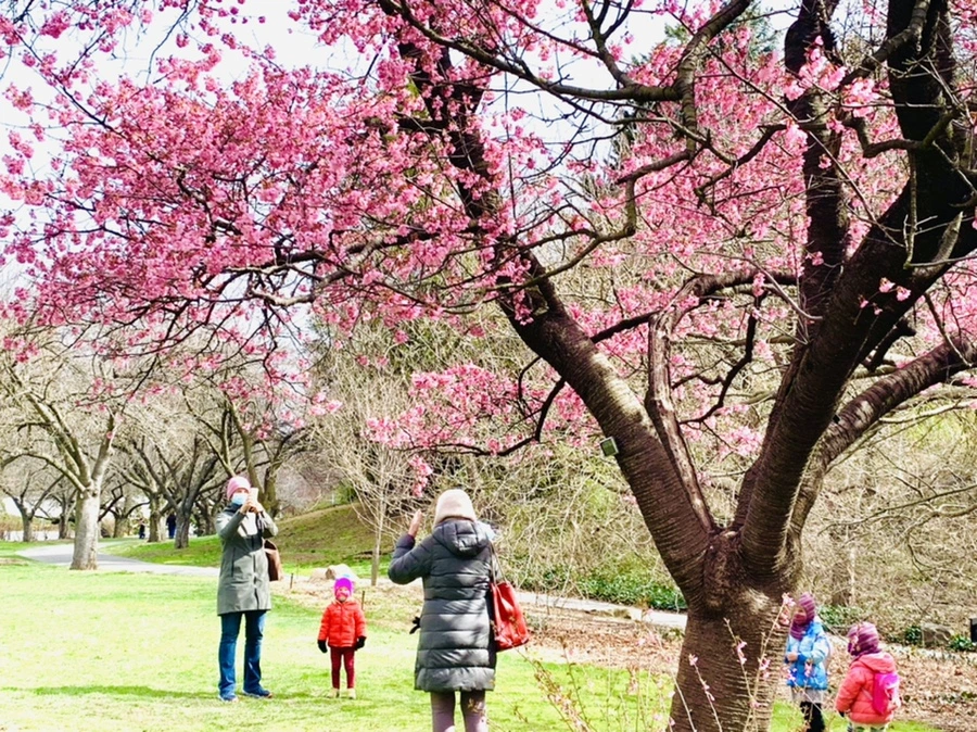 IMG_6425.jpg?type=w966