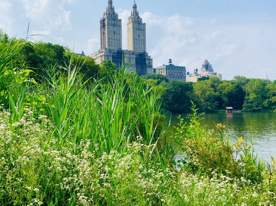 IMG_1708.jpg?type=w966