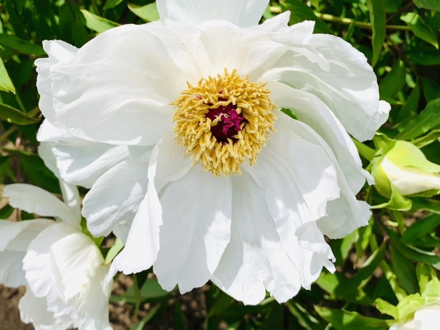 5TNJBpj0t6gC3_bl_4BtGAM6wZ4