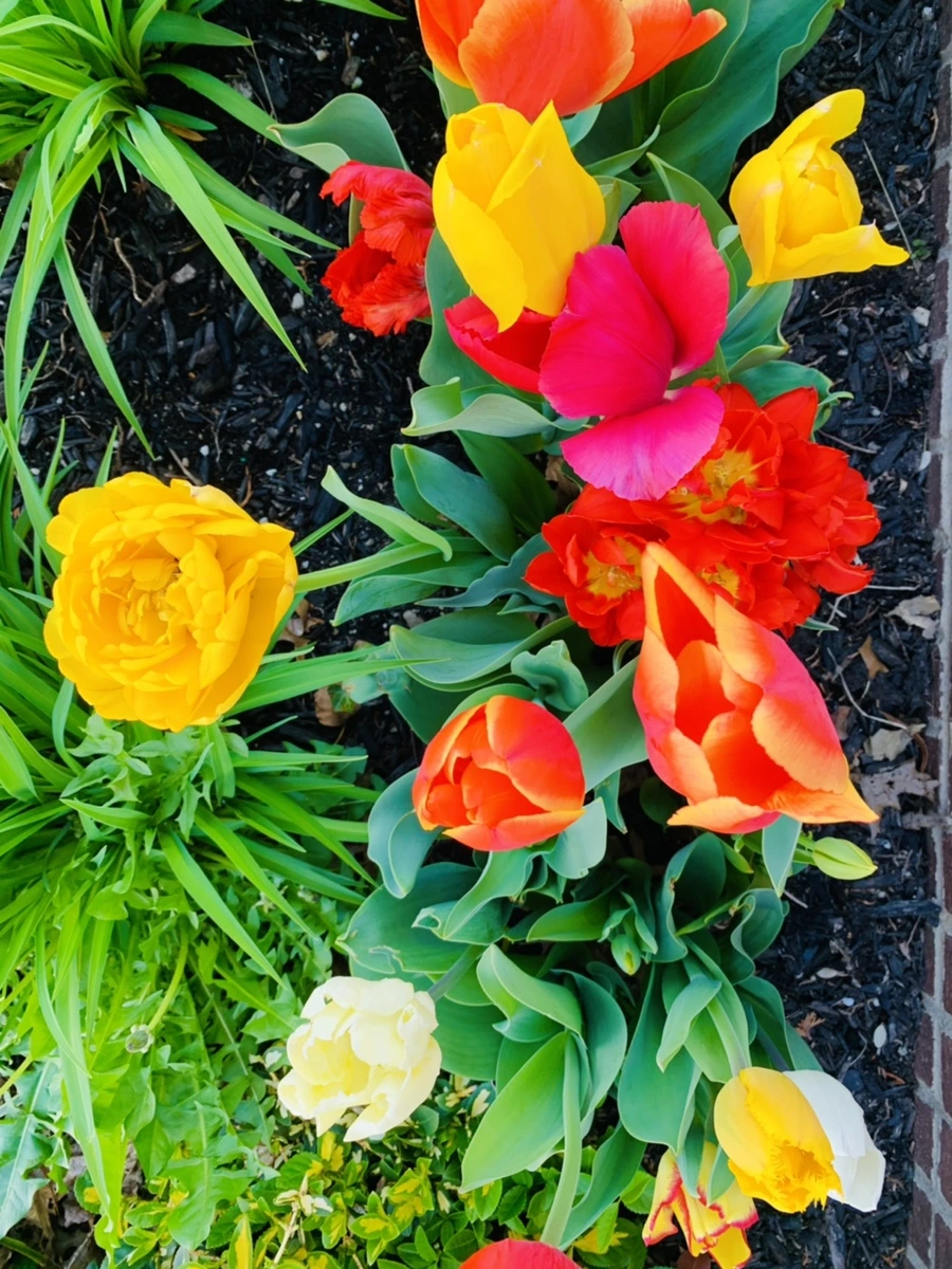 IMG_2022.jpg?type=w966