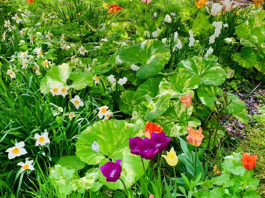 IMG_6879.jpg?type=w966